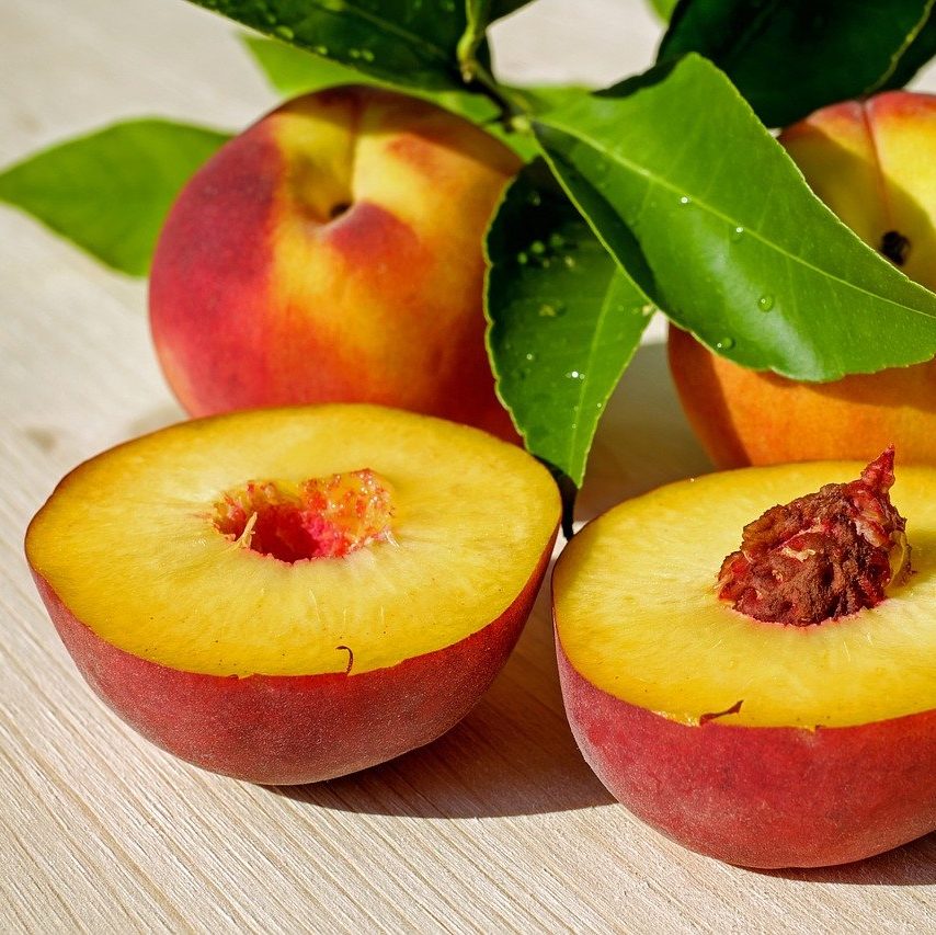 Grow Peaches in Northern Zones 3 ColdHardy Peach Trees The Yankee Dirt